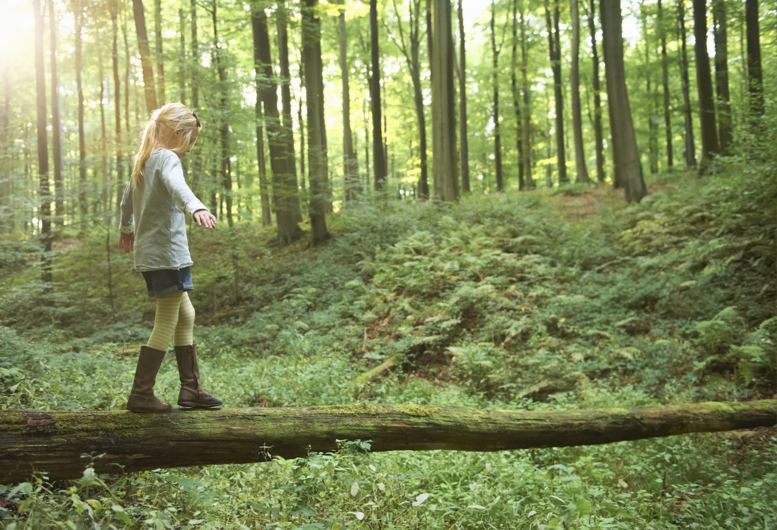 Child balancing on a fallen log in a forest, illustrating why Huel needed evidence to back up its advertising claims